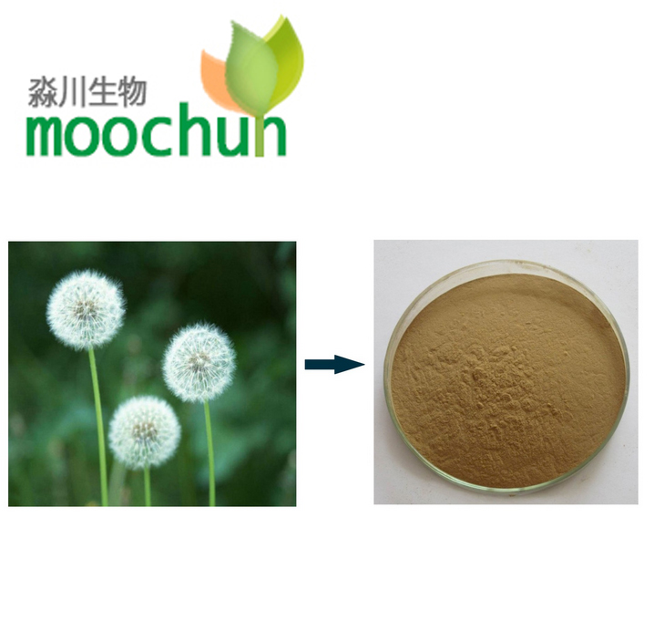 Dandelion Extract