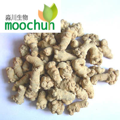 Radix Notoginseng P.E.