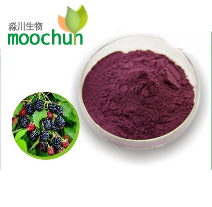 Mulberry extract