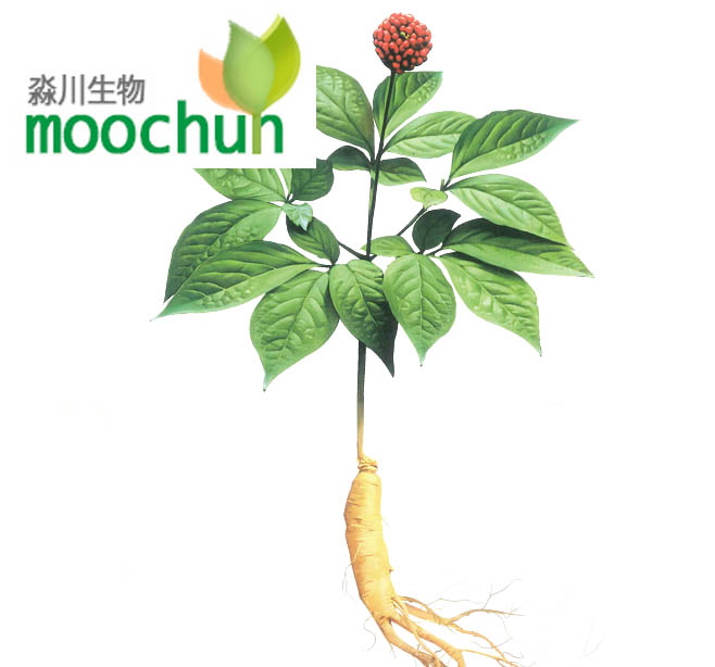 ginseng extract